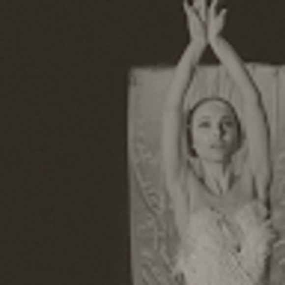 Meet your Posher, Will - Picture 1 of 1